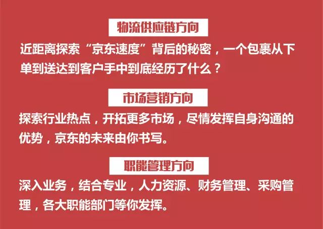 京东最新招聘信息概览