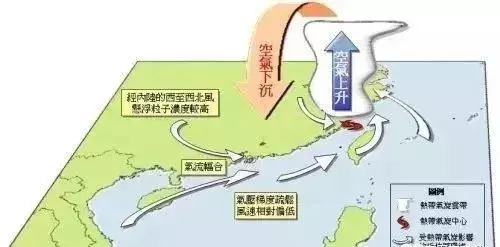 美国最新台风，影响、应对与反思